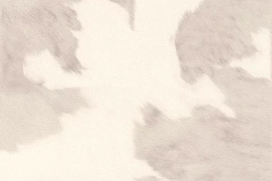 Cowhide Pattern Wallpapers Border