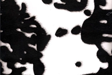 Cow Hide Fabric And Vinyl : Designer Wallcoverings™   Your One ...