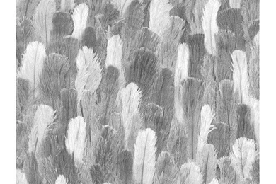 African Queen 33' X 20.5" Cowhide Print 3D Embossed Wallpapers ...