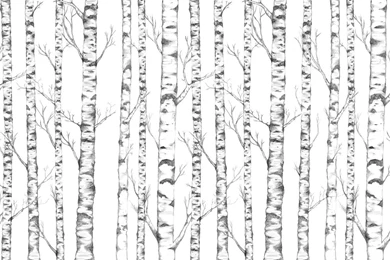 3D Scandinavian Reception Design