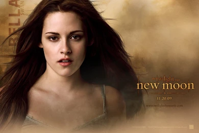 Twilight On Pinterest