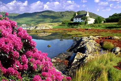 Wallpapers And Pictures: Amazing Nature Landscape Wallpapers (1920 ...