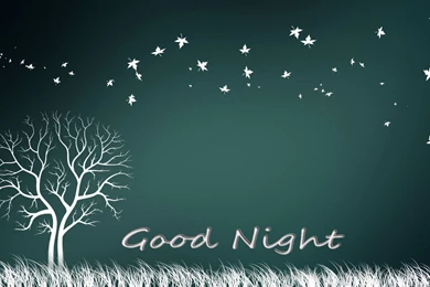 High Resolution Good Night Wallpapers HD Full Size   SiWallpaperHD ...