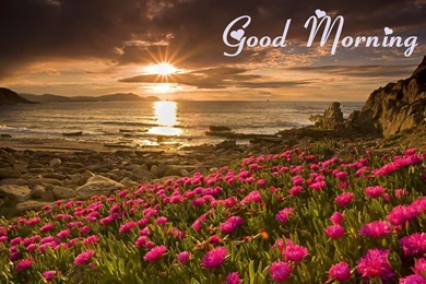 Good Morning Awesome Wallpapers HD Wallpapers Desktop Wallpapers ...