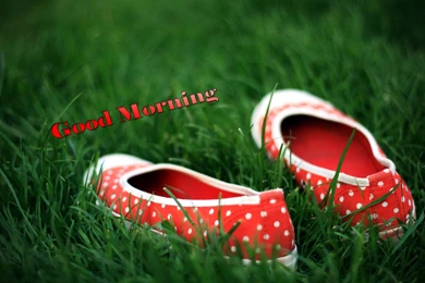 Good Morning Wallpapers Waiting For Someone   Top Wallpapers HD