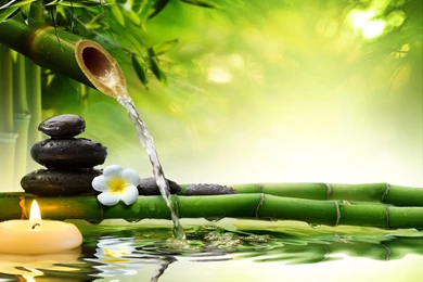 Good Morning Nature HD Wallpapers