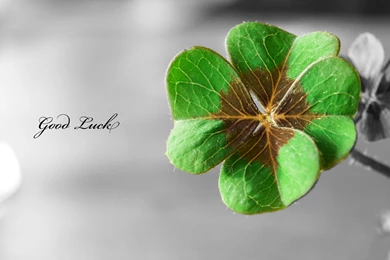 Wallpapers God Of Natural Good Luck 1920x1080