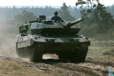 36 Leopard 2 HD Wallpapers