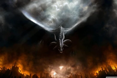 Black Dragon HD Desktop Wallpapers : High Definition