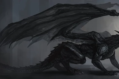 Black Dragon HD Images Wallpapers 10045   Amazing Wallpaperz