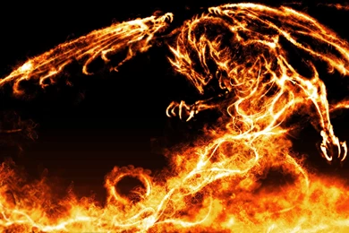 Black Dragon Wallpapers Hd Fire Dragon Wallpapers Hd