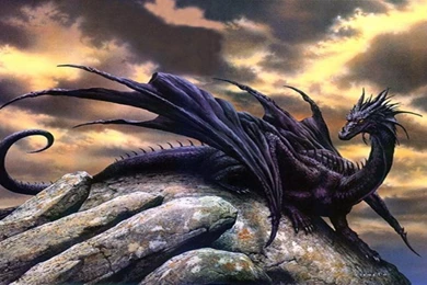 Black Dragon HD Images Wallpapers Attachment 10046   Amazing ...