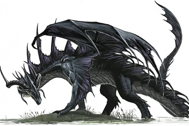 Black Dragon Mobile HD Wallpapers Attachment 10085   Amazing ...