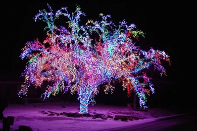 Christmas Lights Backgrounds Snow