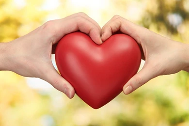 Wallpapers Download Hd Love Collection (41+)