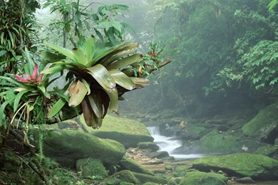 Brazil Computer Wallpapers, Desktop Backgrounds