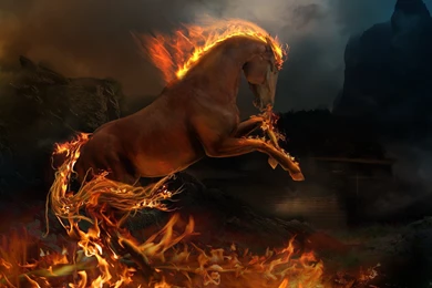 Burning Horse Wallpapers