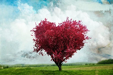 Animated_love_wallpaper 9.jpg