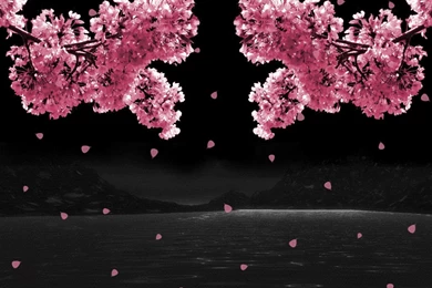 Latest Love Animated Pictures 2013   2014 ~ Wallpapers, Pictures ...