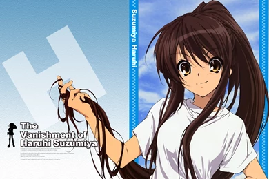 The Melancholy Of Haruhi Suzumiya Computer Wallpapers, Desktop ...
