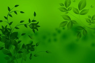 Cool HD Wallpapers Leaf Green Images Walmage.com Walmage.com