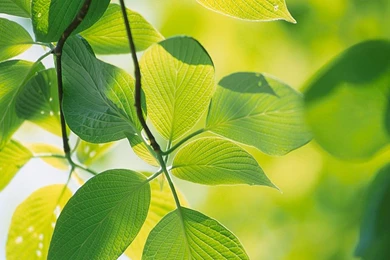 1920x1080   Page 1748