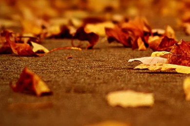 HD Samsung Galaxy S6 Wallpapers