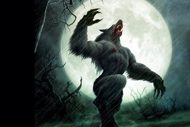 Werewolf Wallpapers   Free Large Images