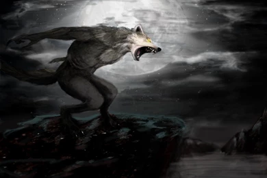 Angry Werewolf Wallpapers From Werewolf Wallpapers