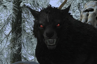 Werewolf Wallpapers HD 11224   Amazing Wallpaperz