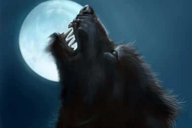 Werewolf Wallpapers