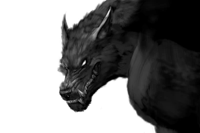 Werewolf Wallpapers Downloads 11212   Amazing Wallpaperz