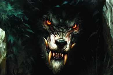 Werewolf Wallpapers » WallDevil   Best Free HD Desktop And Mobile ...