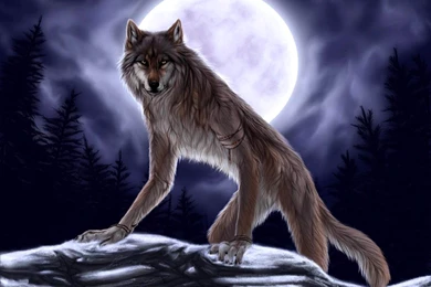 Download Dark Werewolf Wallpapers 1280x960
