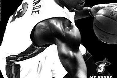 Miami Heat : Dwyane Wade Photo1   Wallcoo.net