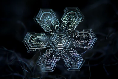 Unique Mobile Wallpapers