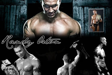 Randy Orton Wrestling Wallpapers   Free Randy Orton Wrestling ...