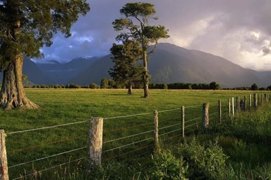 New Zealand Grass Greens Island Mountains