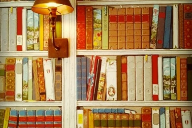 Something In Me Does Not Love A Wall: Bookish Wallpapers Patterns