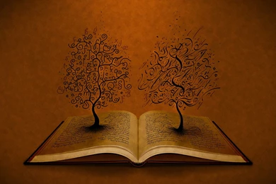 Wallpapers Books Online 2015   Grasscloth Wallpapers