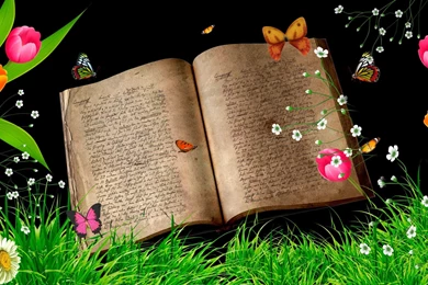 Wallpapers Books Reading Student Images A Book 1920x1080