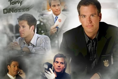NCIS   Wallpapers, Avatars And Other Stuff By Robin