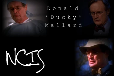 NCIS Wallpapers   NCIS Wallpapers (12526829)   Fanpop