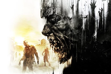Dying Light Video Games 11 Cool Wallpapers   Hivewallpaper.com