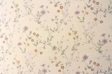 A Study In Wallpapers (or Living In The '50s)