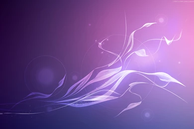 116 Purple HD Wallpapers