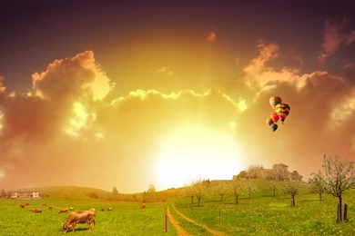 Hot Air Balloons Wallpapers