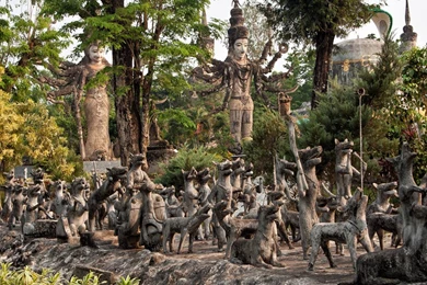 Timber Wolf Pack   (