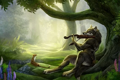 Animal Desktop Backgrounds Of Forest Timber Wolf Wallpapers