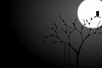 Scene Kid Wallpapers « HD Wallpapers